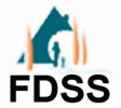 Logo FDSS